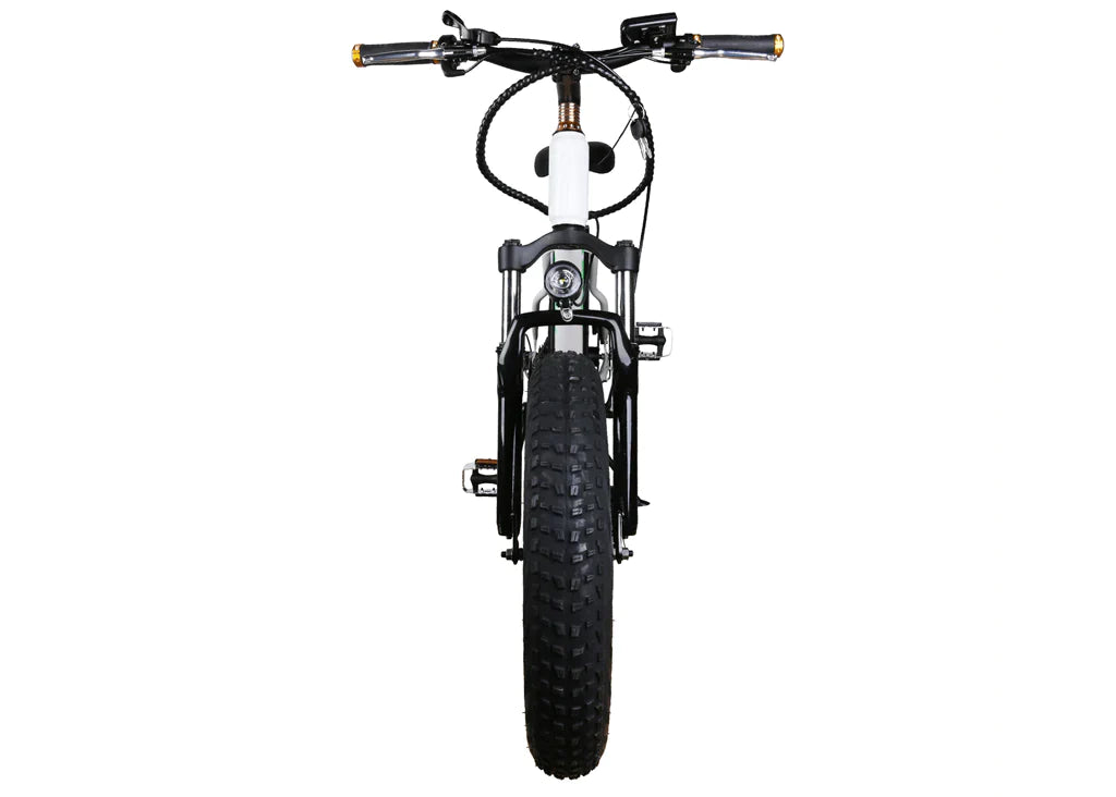 MINI CRUISER 750W peak rear hub motor1.