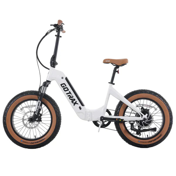 F5 Electric Bike